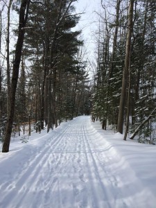 A peaceful Sunday run.