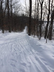 I ran up this hill both days, it may not look like much but there was a sign noting it was a 13% grade!